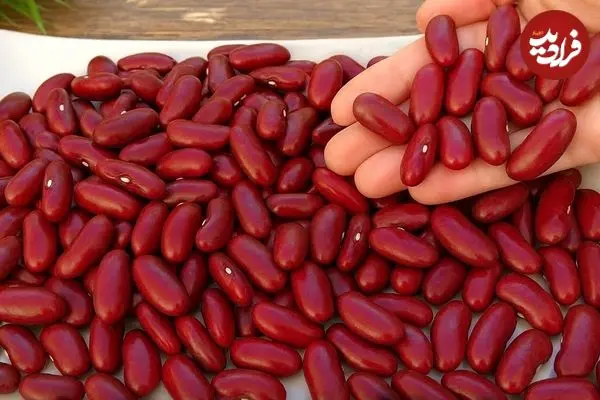ببینید| طرز تهیه خوراک لوبیا قرمز اسپانیایی