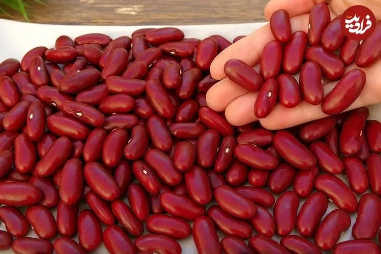 ببینید| طرز تهیه خوراک لوبیا قرمز اسپانیایی