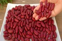 ببینید| طرز تهیه خوراک لوبیا قرمز اسپانیایی