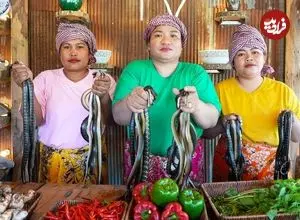 ببینید| غذای روستایی در سنگاپور؛ تهیه سوسیس با مار و کباب مارماهی در روستا