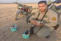 شکارچیان برادرم را با تیر و فرزندم را کتک زدند!