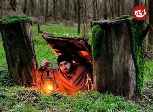 ببینید| ساخت یک پناهگاه زیر زمینی مخفی بین دو تنه درخت در جنگل های آلمان