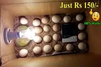 (ویدئو) نحوه ساخت یک دستگاه جوجه کشی 20 عددی با وسایل ارزان و دم دستی