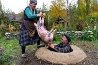 ببینید| غذای روستایی در آذربایجان؛ کباب کردن بره کامل در تنور زیرزمینی