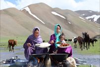 ببینید؛ غذای عشایری در افغانستان؛ برداشت قارچ و سبزی وحشی و پخت غذا با مرغ