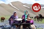 ببینید؛ غذای عشایری در افغانستان؛ برداشت قارچ و سبزی وحشی و پخت غذا با مرغ