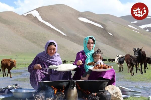 ببینید؛ غذای عشایری در افغانستان؛ برداشت قارچ و سبزی وحشی و پخت غذا با مرغ