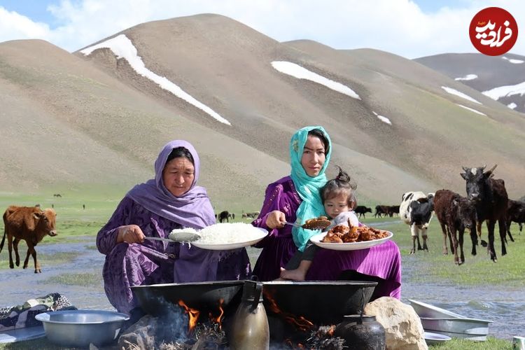 ببینید؛ غذای عشایری در افغانستان؛ برداشت قارچ و سبزی وحشی و پخت غذا با مرغ