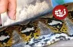 ببینید| غذای خیابانی در اندونزی؛ برش ماهرانه مار پیتون غول پیکر و تهیه خوراک با آن