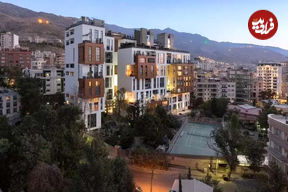 عکس؛ محله تهران که محصولش از زعفران به برج رسید