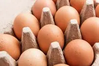 همۀ آنچه باید دربارۀ نگه‌داری از «تخم‌مرغ» بدانیم