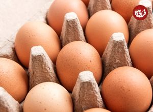 همۀ آنچه باید دربارۀ نگه‌داری از «تخم‌مرغ» بدانیم