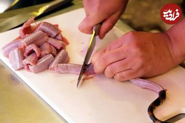 ببینید| غذای خیابانی در ژاپن؛ پخت یک غذای خاص با مار و کلاغ در توکیو