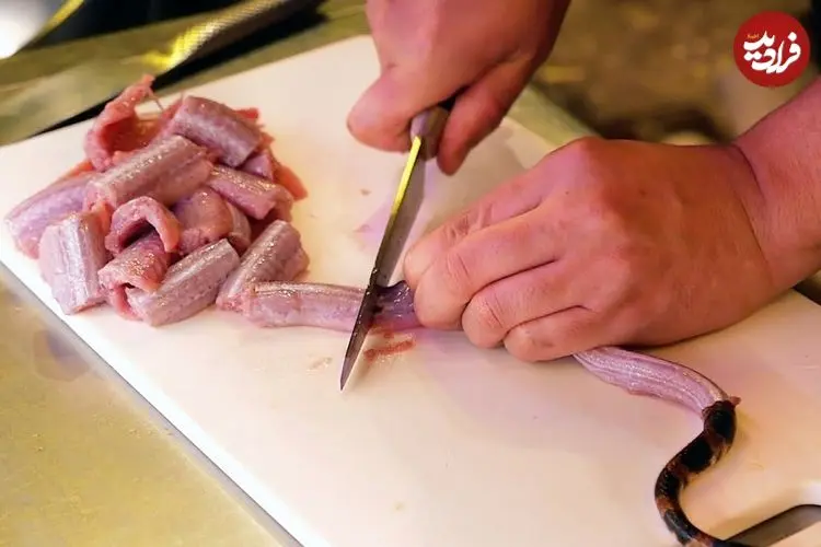 ببینید| غذای خیابانی در ژاپن؛ پخت یک غذای خاص با مار و کلاغ در توکیو