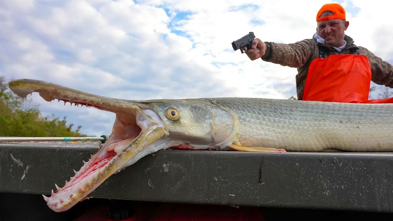 (ویدئو) صید و برش زدن تمساح ماهی 18 کیلوگرمی توسط ماهیگیر مشهور آمریکایی