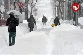 ببینید| بارش بی‌سابقه برف در ژاپن؛ آئوموری رکورد ۷۹ ساله را شکست