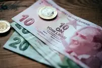 قیمت لیر ترکیه امروز سه شنبه 29 اردیبهشت 1405؛ عقب نشینی 0.51 درصدی