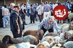 قیمت جدید دام زنده مشخص شد