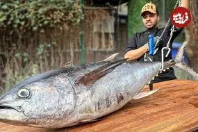 ببینید| غذای خیابانی در ایران؛ مراحل پخت یک غذای متفاوت با ماهی تن 30 کیلوگرمی