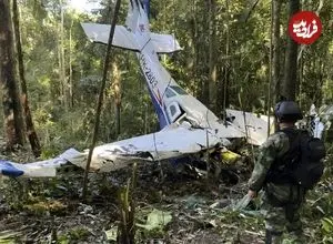 ۴۰ روز در آمازون؛ ۴ کودکی که از سقوط هواپیما جان سالم به در بردند