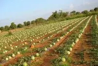 پیشنهاد جالب روزنامه کیهان برای حل بحران آب