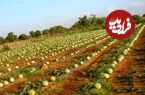 پیشنهاد جالب روزنامه کیهان برای حل بحران آب