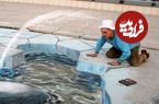 عکس؛ هنر خیابانی؛ خلاقیت فوق‌العاده هنرمندی که وسط پیاده‌رو «نهنگ» صید می‌کند