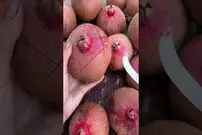 (ویدئو) بهترین روش برای برش زدن انار