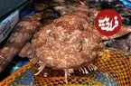 ببینید| غذای خیابانی در چین؛ برش ماهرانه کوسه وابگونگ و تهیه غذا با آن در پکن