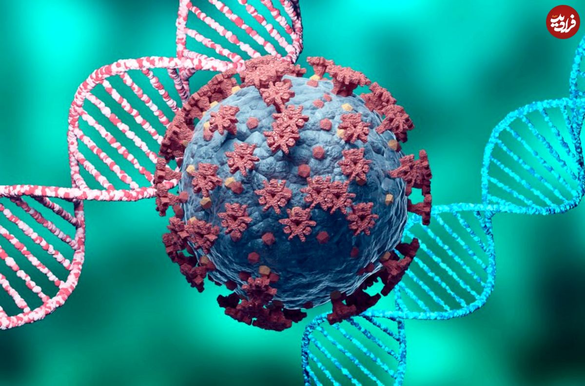 آنزیم‌های آزمایشگاهی می‌توانند ویروس کووید را از بین ببرند