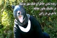 ببینید؛ زنده شدن خاطرات فیلم شهر موش‌ها هنگام مانور مقابله با خرس در ژاپن