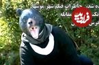 ببینید؛ زنده شدن خاطرات فیلم شهر موش‌ها هنگام مانور مقابله با خرس در ژاپن