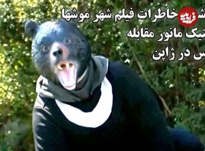 ببینید؛ زنده شدن خاطرات فیلم شهر موش‌ها هنگام مانور مقابله با خرس در ژاپن