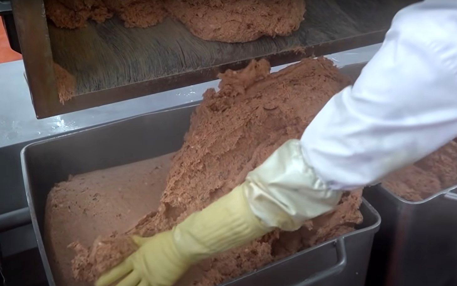 (ویدئو) فرآیند تولید همبرگر در یک کارخانه از نمای نزدیک