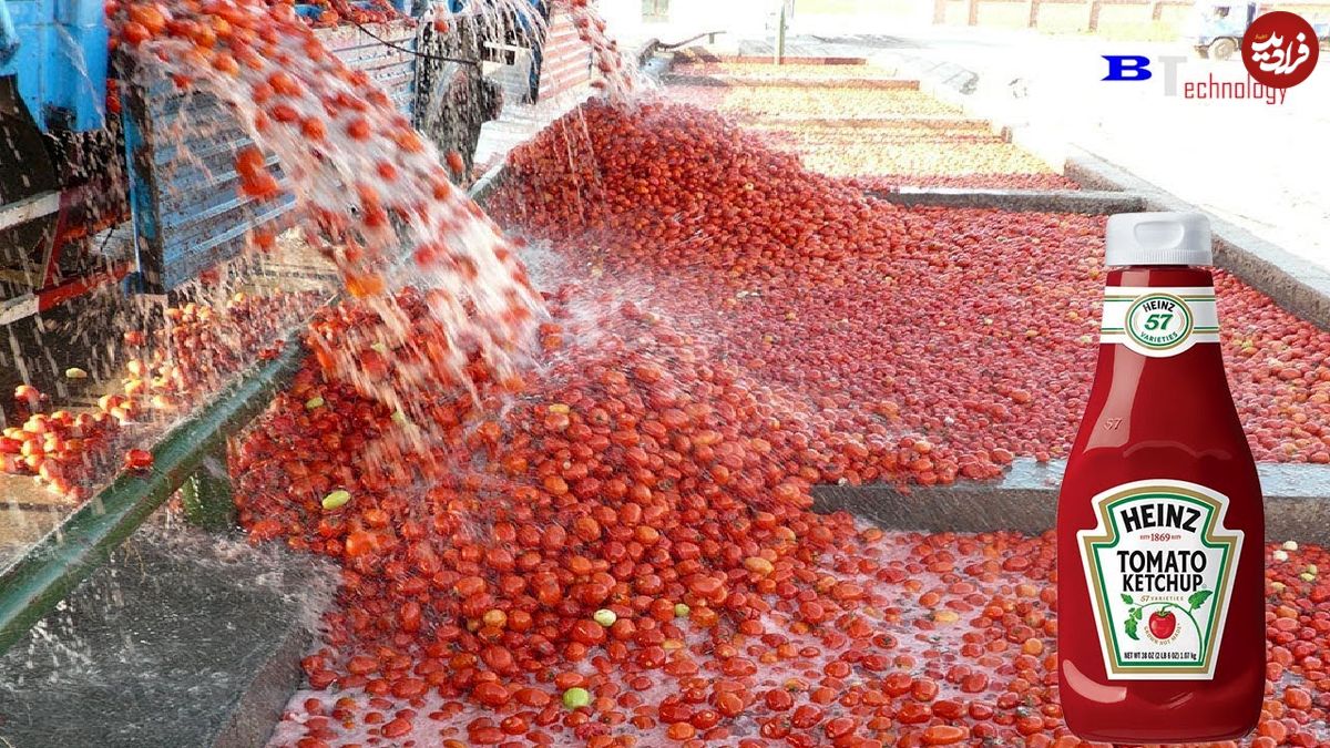 ببینید؛ سس گوجه فرنگی چگونه تولید می شود؟