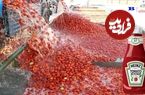 ببینید؛ سس گوجه فرنگی چگونه تولید می شود؟