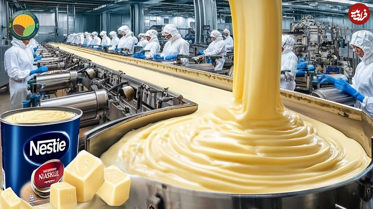 ببینید؛ شیر تغلیظ شده چگونه تولید می شود؟