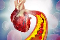 دم‌نوش گل ختمی چه فوایدی دارد؟