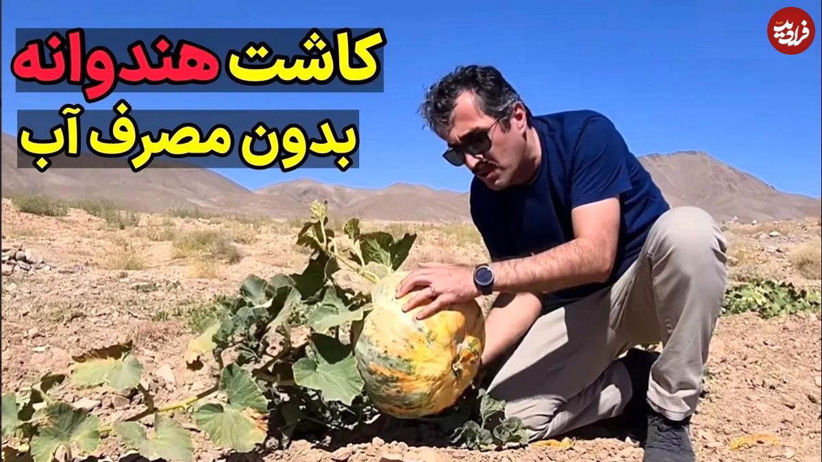 (ویدئو) کشاورزهای خراسان جنوبی به این شکل هنداونه را بدون مصرف آب کشت و برداشت می کنند!