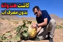 (ویدئو) کشاورزهای خراسان جنوبی به این شکل هنداونه را بدون مصرف آب کشت و برداشت می کنند!