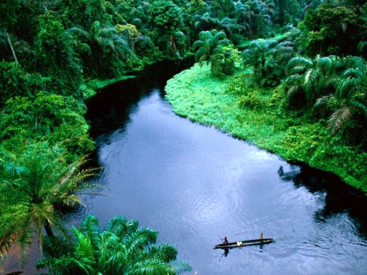 ( عکس) نابودی ترسناک جنگل کنگو؛ تهدیدی جدی برای سیاره زمین