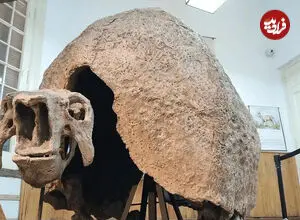 تصاویر واقعی از غول زره پوشی که زمانی در آمریکا زندگی می کرد