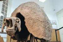 تصاویر واقعی از غول زره پوشی که زمانی در آمریکا زندگی می کرد