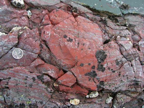 دانشمندان قدیمی ترین فسیل های شناخته شده زمین را پیدا کردند