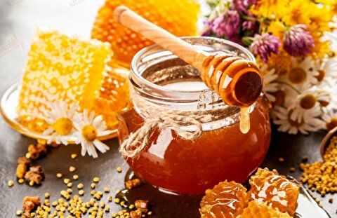 ( ویدیو) راهکاری جالب برای تشخیص عسل طبیعی از تقلبی