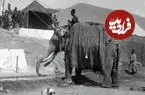عکس| سفر به ایران قدیم؛ مردم تهران و «فیل تخت‌دار» در مقابل تکیه‌دولت در دوران ناصرالدین شاه