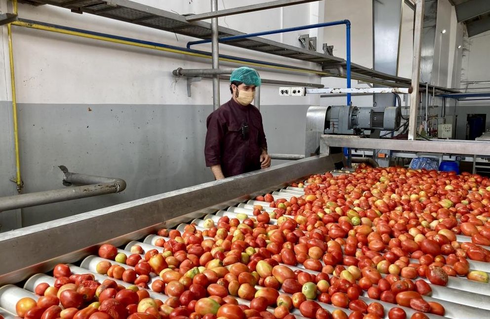 (ویدئو) نگاهی به کارخانه رب گوجه فرنگی در افغانستان 
