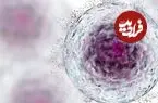 هوش مصنوعی راز پیری خون را فاش کرد