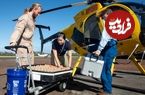 چرا 10 میلیون «پشه» با هلیکوپتر به هاوایی برده شده‌اند؟
