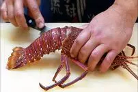 ببینید| غذای خیابانی در ژاپن؛ تهیه دو نوع غذا با لابستر صورتی در اوکیناوا